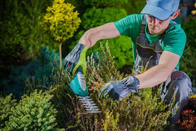 landscaping services South Hempstead